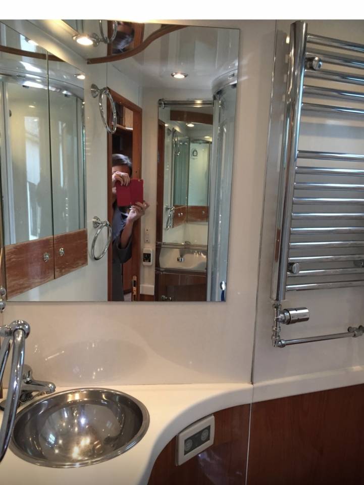 Kleine paardenvrachtwagen (B rijbewijs) Oakley Scania 340 2006 Tweedehands