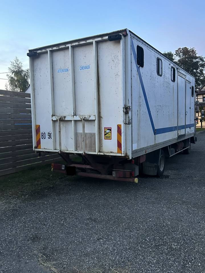 Zware paardenvrachtwagen (groot rijbewijs) Renault Midliner  1992 Tweedehands