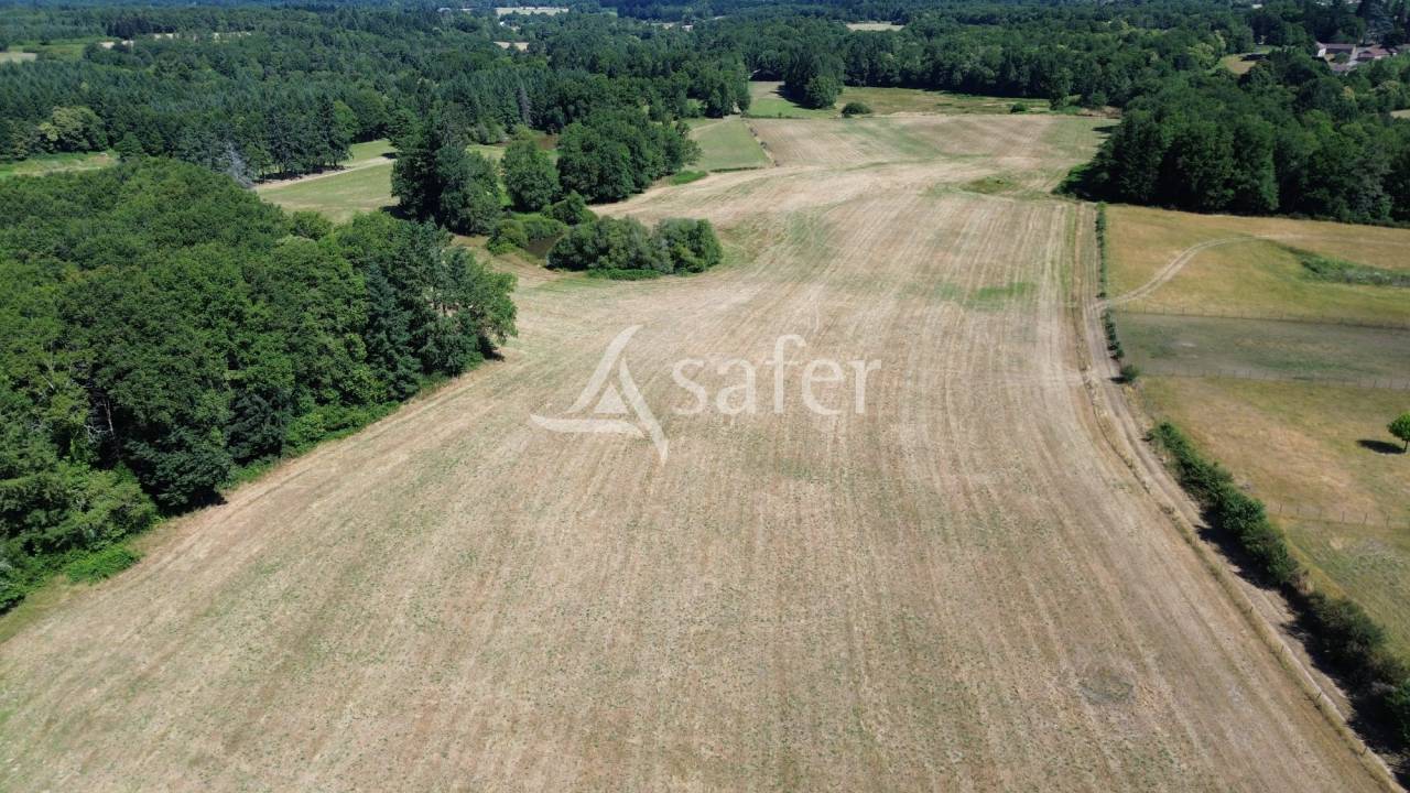 Schapen exploitatie Koop Dordogne