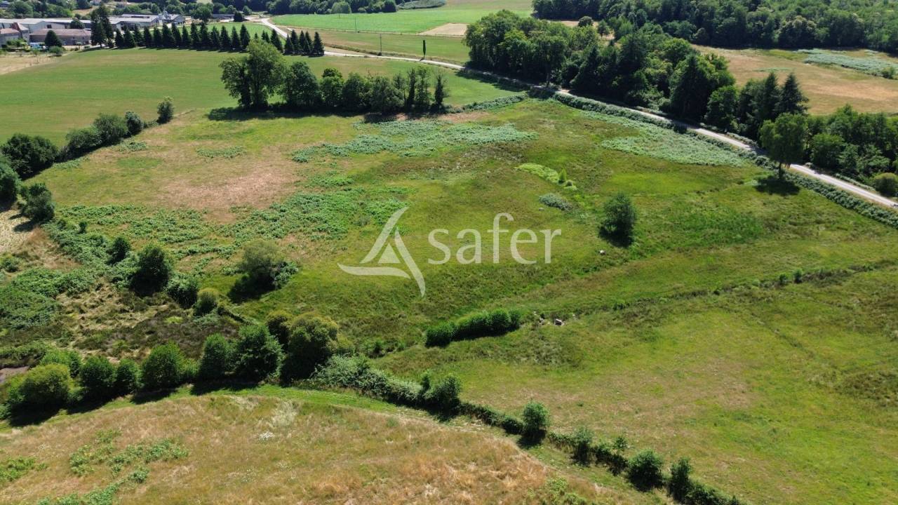 Schapen exploitatie Koop Dordogne