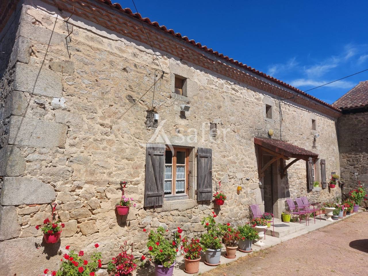 Schapen exploitatie Koop Dordogne