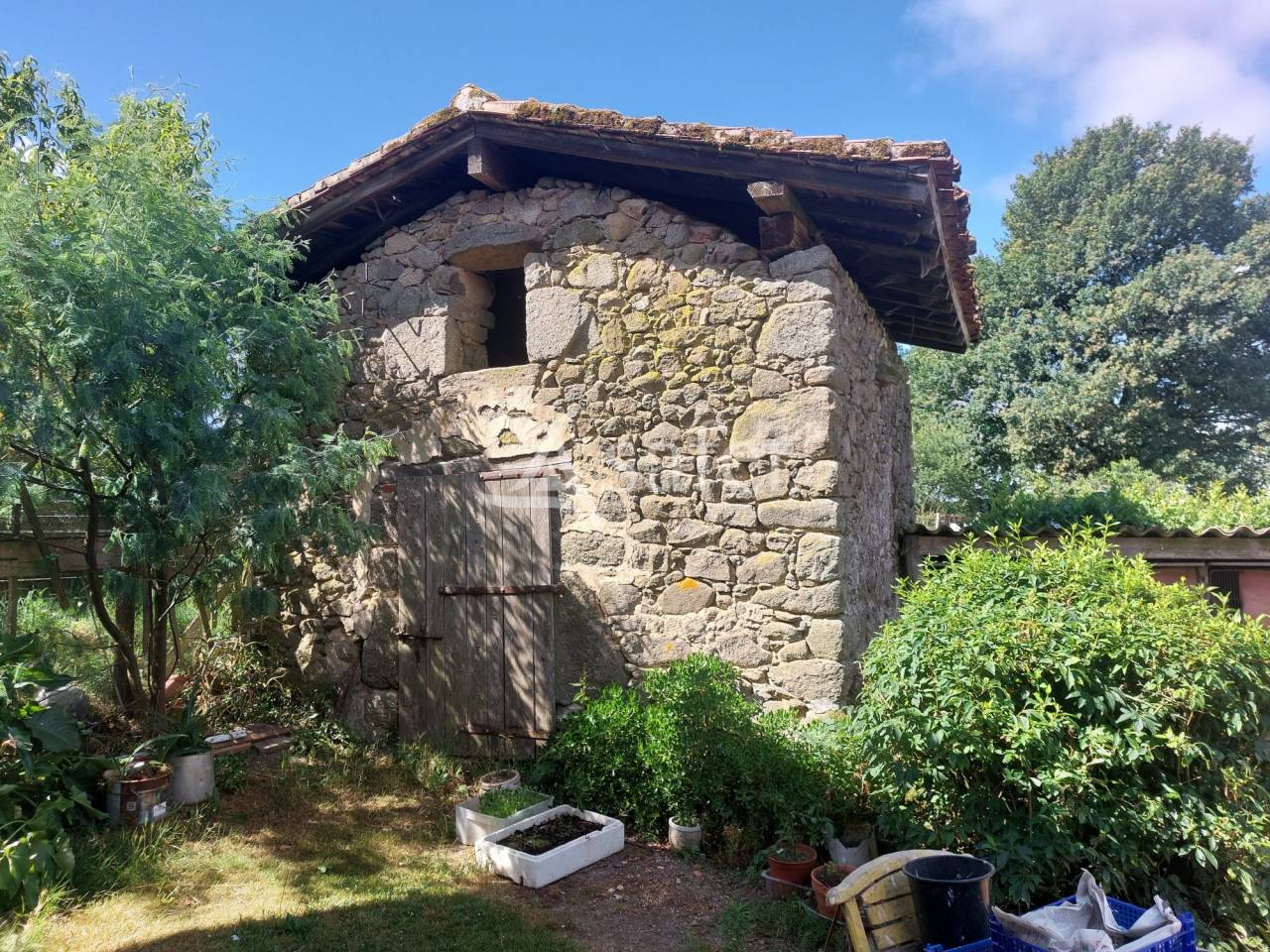 Schapen exploitatie Koop Dordogne