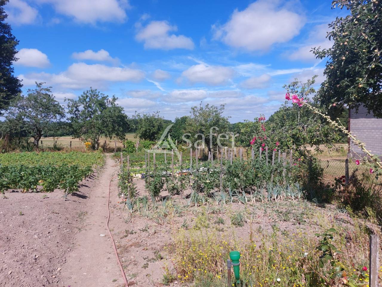 Schapen exploitatie Koop Dordogne