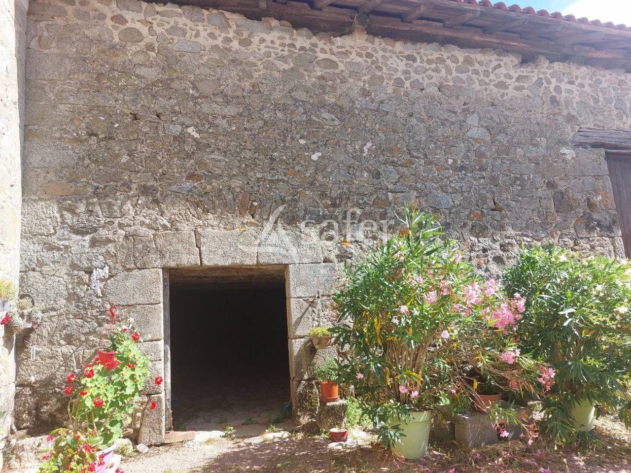 Schapen exploitatie Koop Dordogne