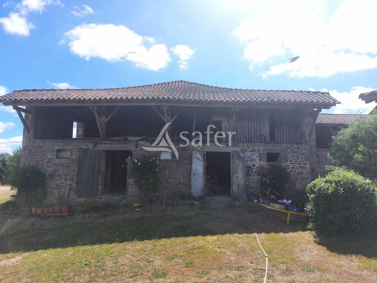 Schapen exploitatie Koop Dordogne