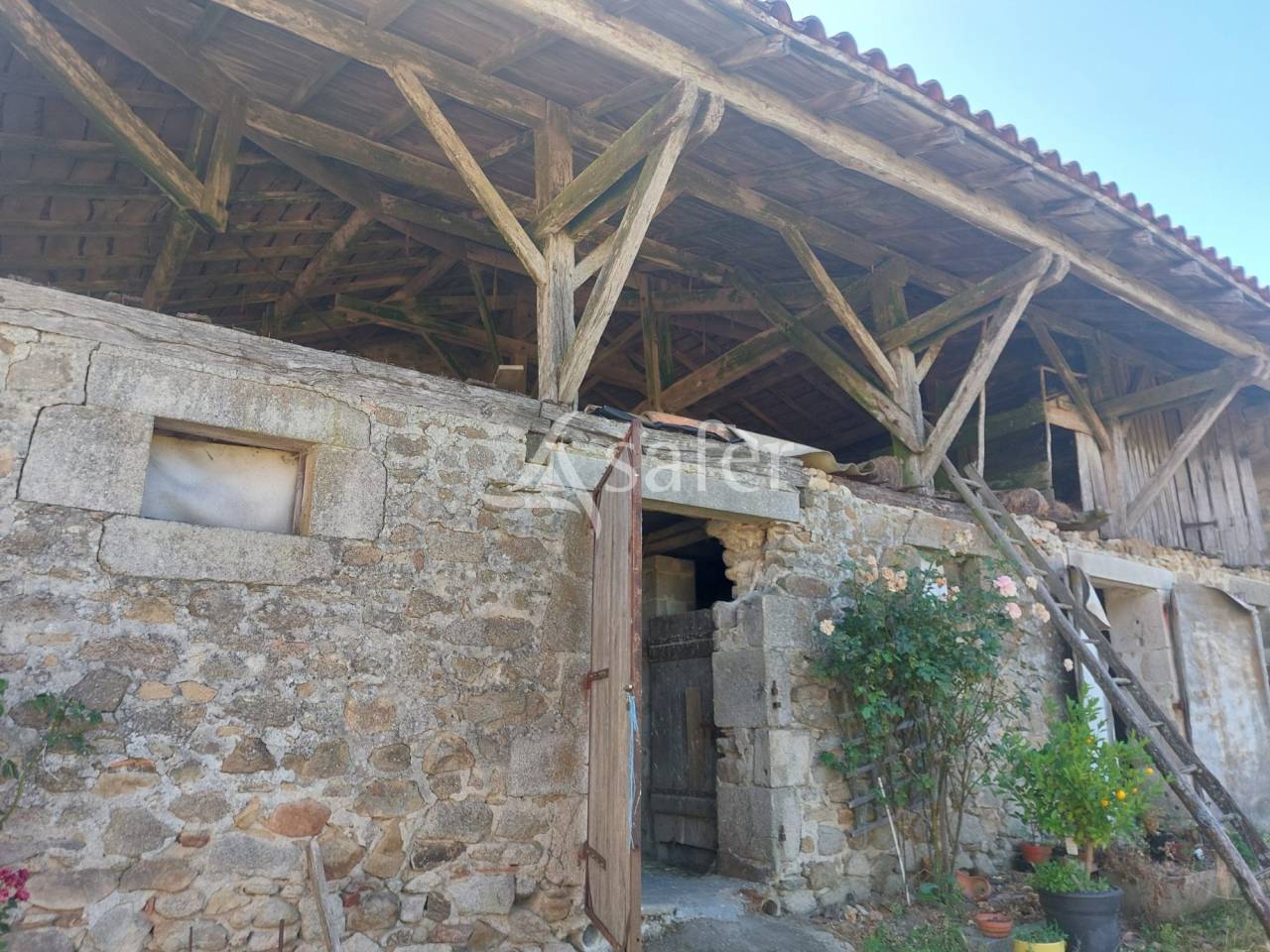 Schapen exploitatie Koop Dordogne