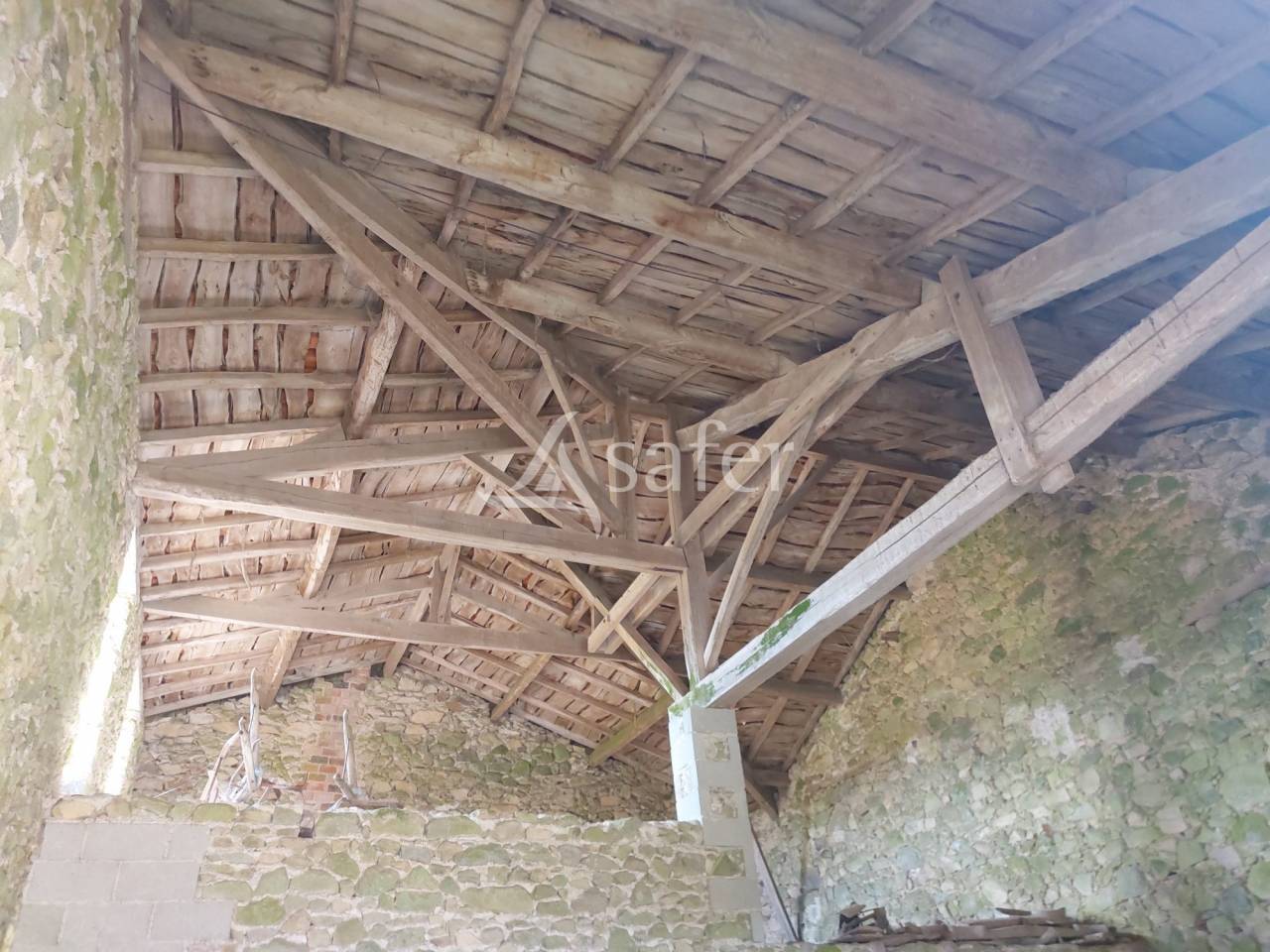 Schapen exploitatie Koop Dordogne