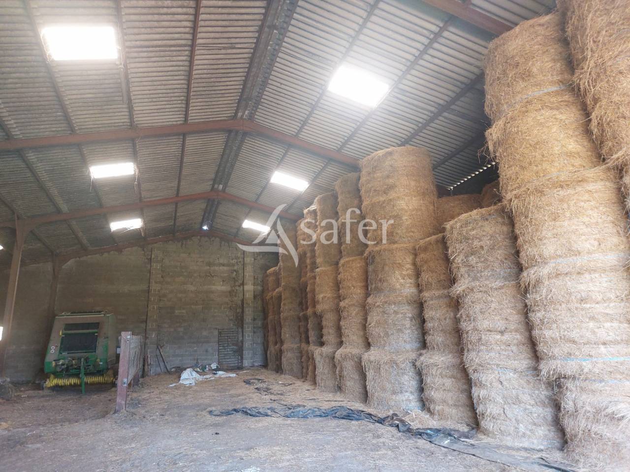 Schapen exploitatie Koop Dordogne