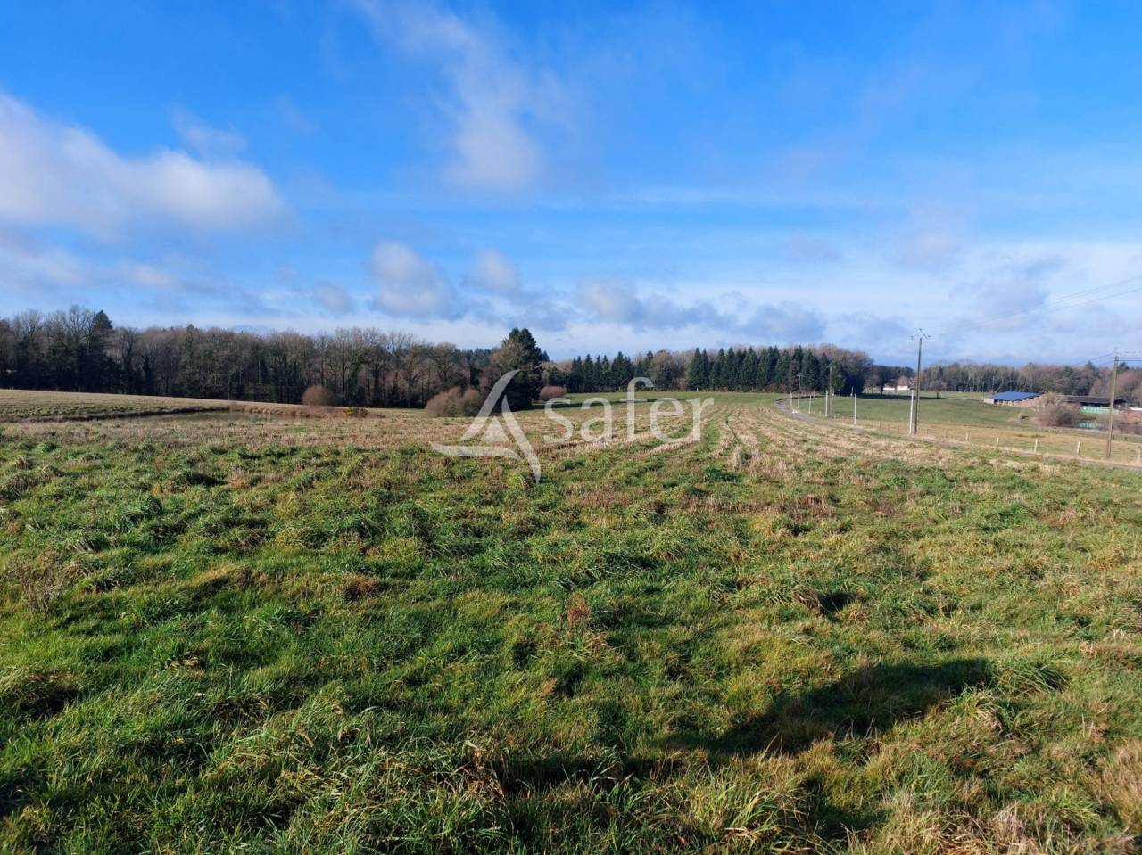 Schapen exploitatie Koop Dordogne