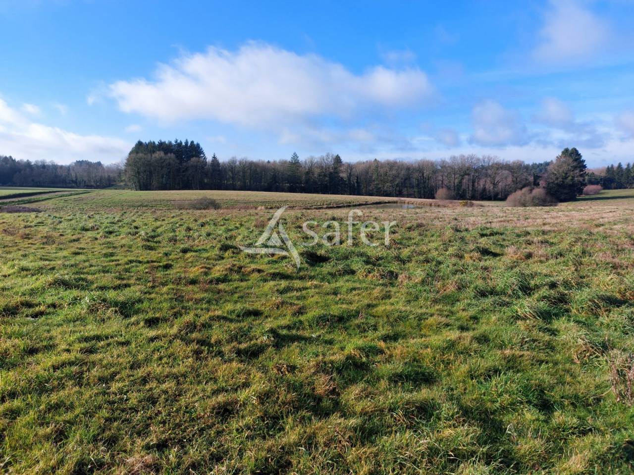 Schapen exploitatie Koop Dordogne