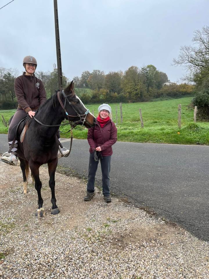 Merrie Volbloed Te koop 2021 Bruin / Bai ,  Guignol