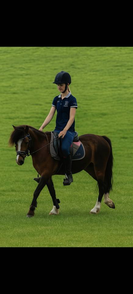 Allround Sportpony 