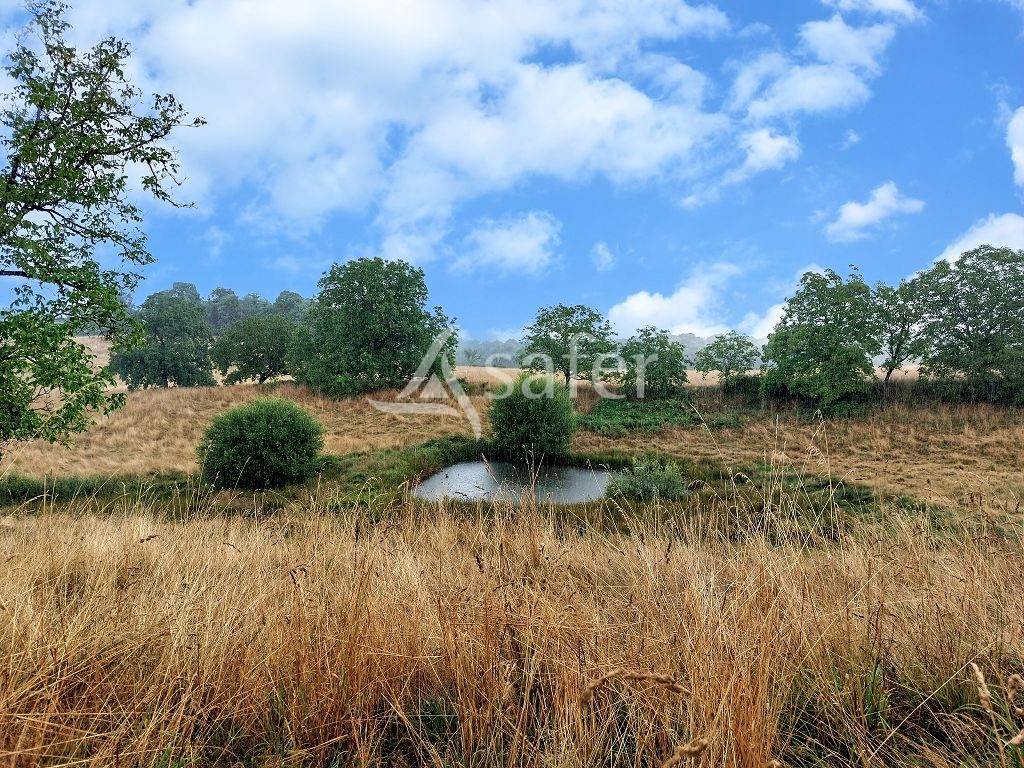 Landbouw bedrijf Koop Corrèze
