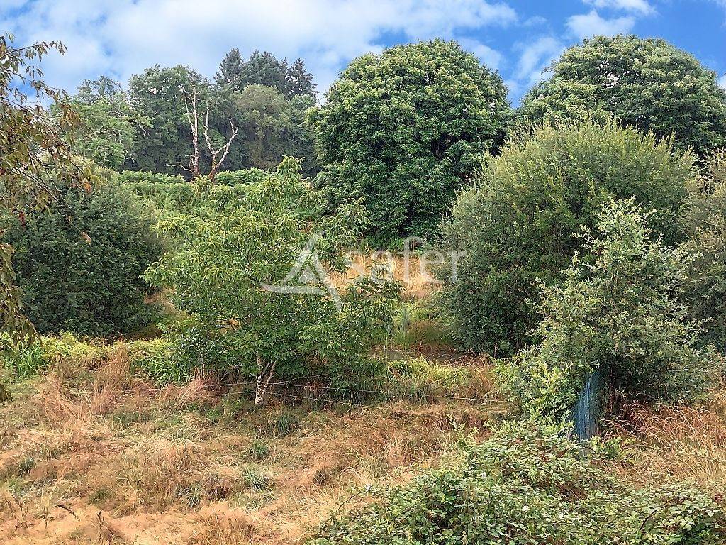 Landbouw bedrijf Koop Corrèze