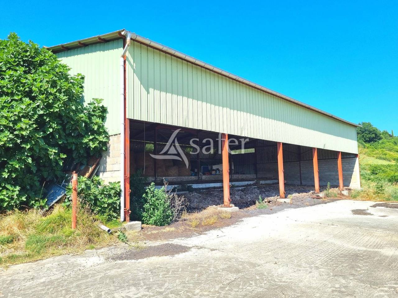 Landbouw bedrijf Koop Tarn-et-Garonne