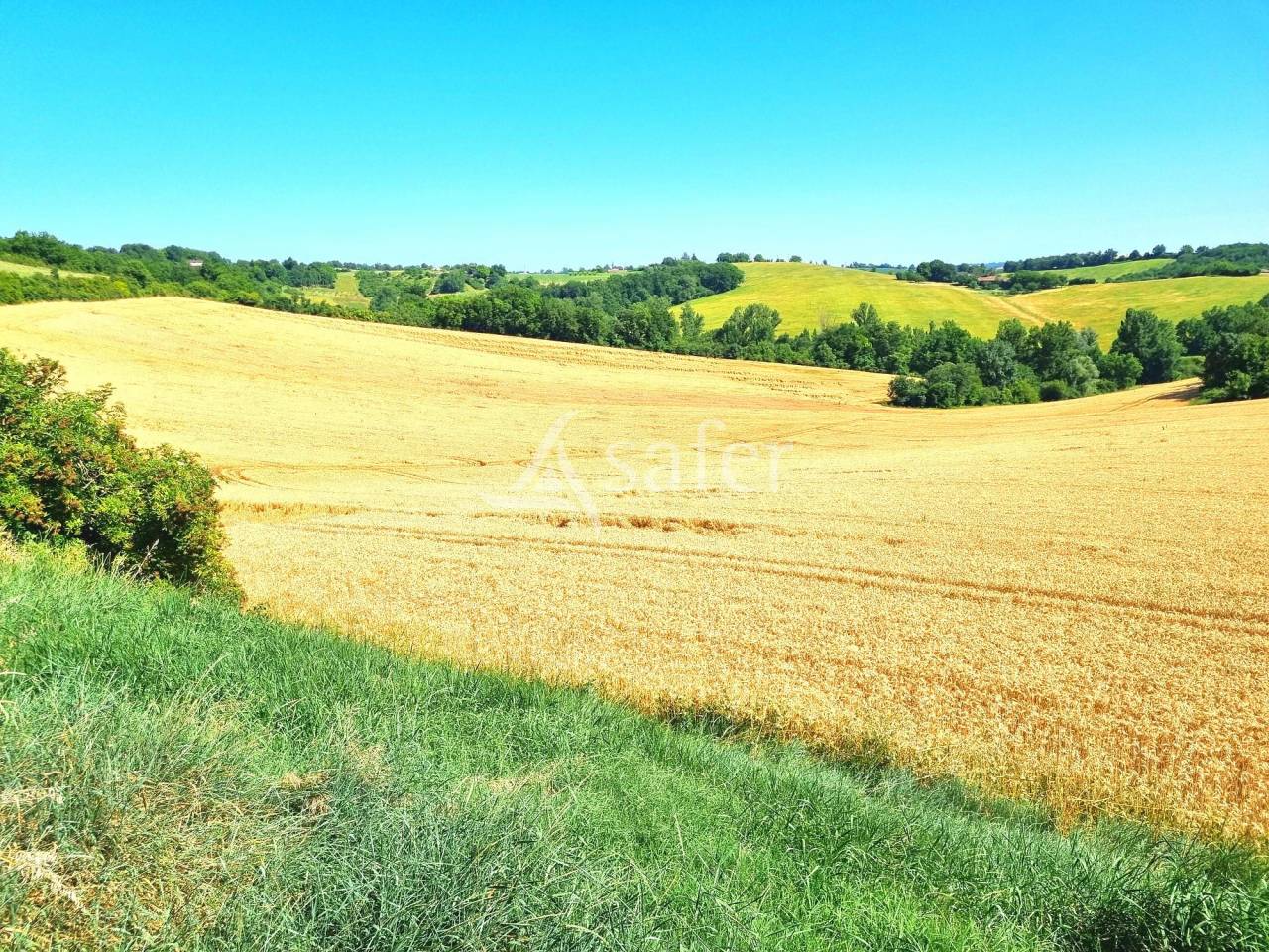 Landbouw bedrijf Koop Tarn-et-Garonne