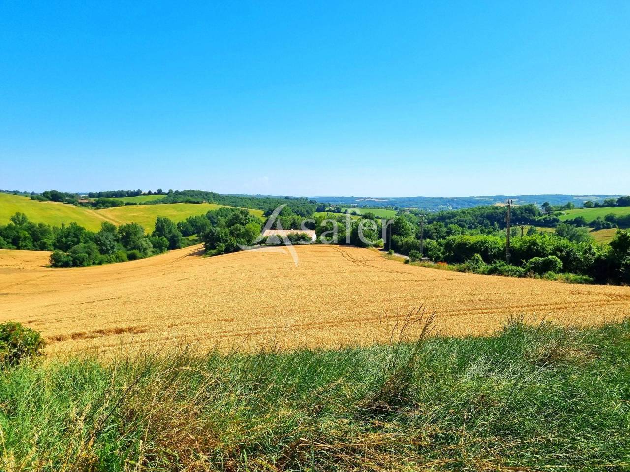 Landbouw bedrijf Koop Tarn-et-Garonne