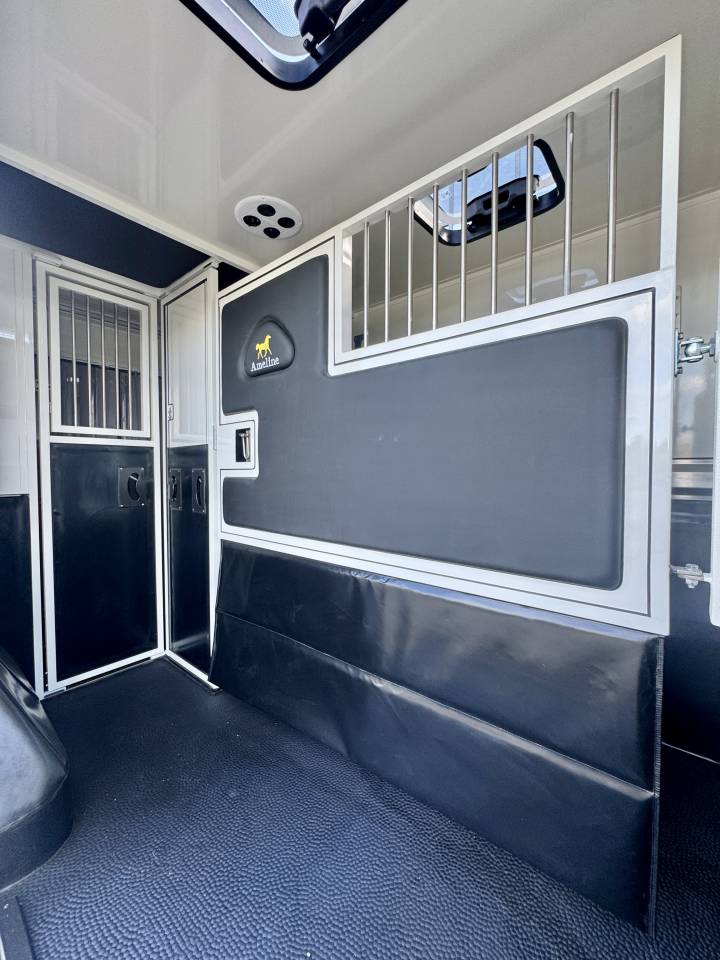 Kleine paardenvrachtwagen (B rijbewijs) Ameline RENAULT MASTER  2025 Nieuw