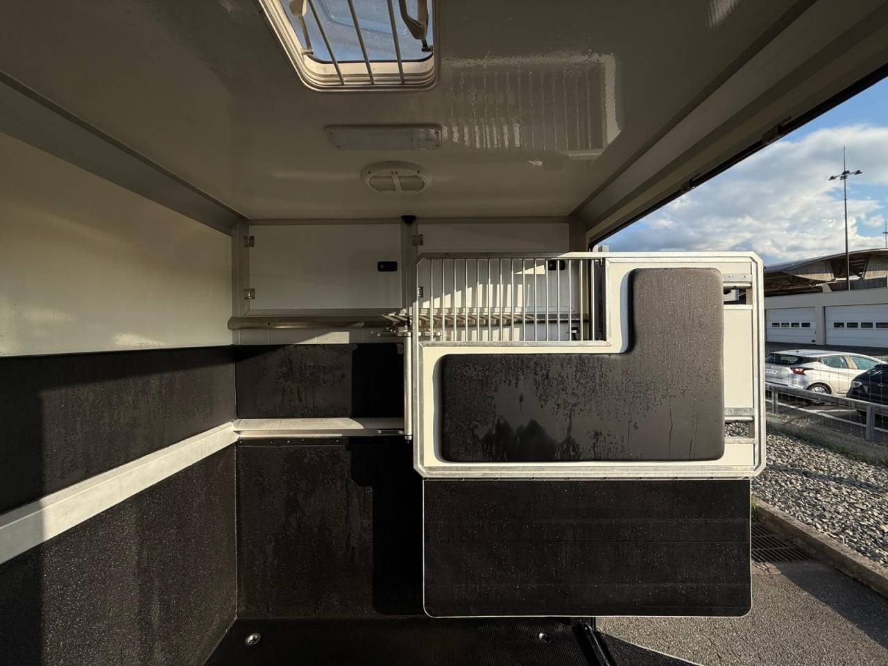 Kleine paardenvrachtwagen (B rijbewijs) STX STX 2021 Tweedehands