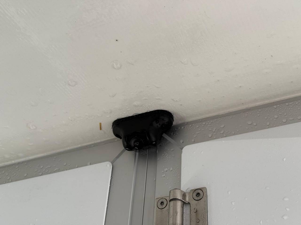 Kleine paardenvrachtwagen (B rijbewijs) STX STX 2021 Tweedehands