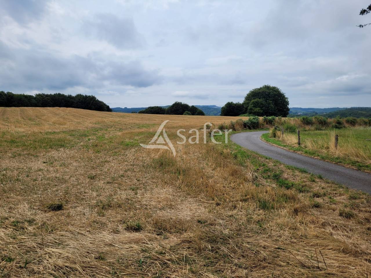 Landbouw bedrijf Koop Cantal