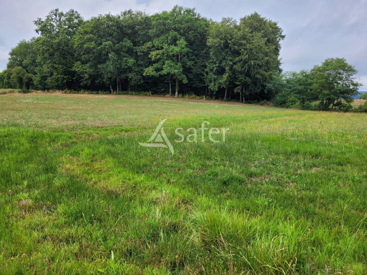 Landbouw bedrijf Koop Cantal