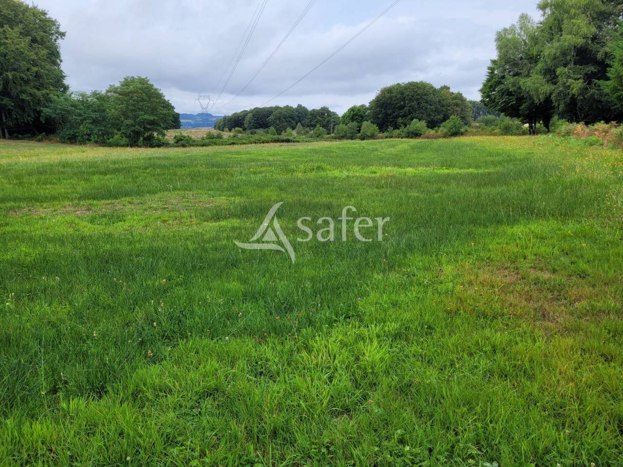 Landbouw bedrijf Koop Cantal