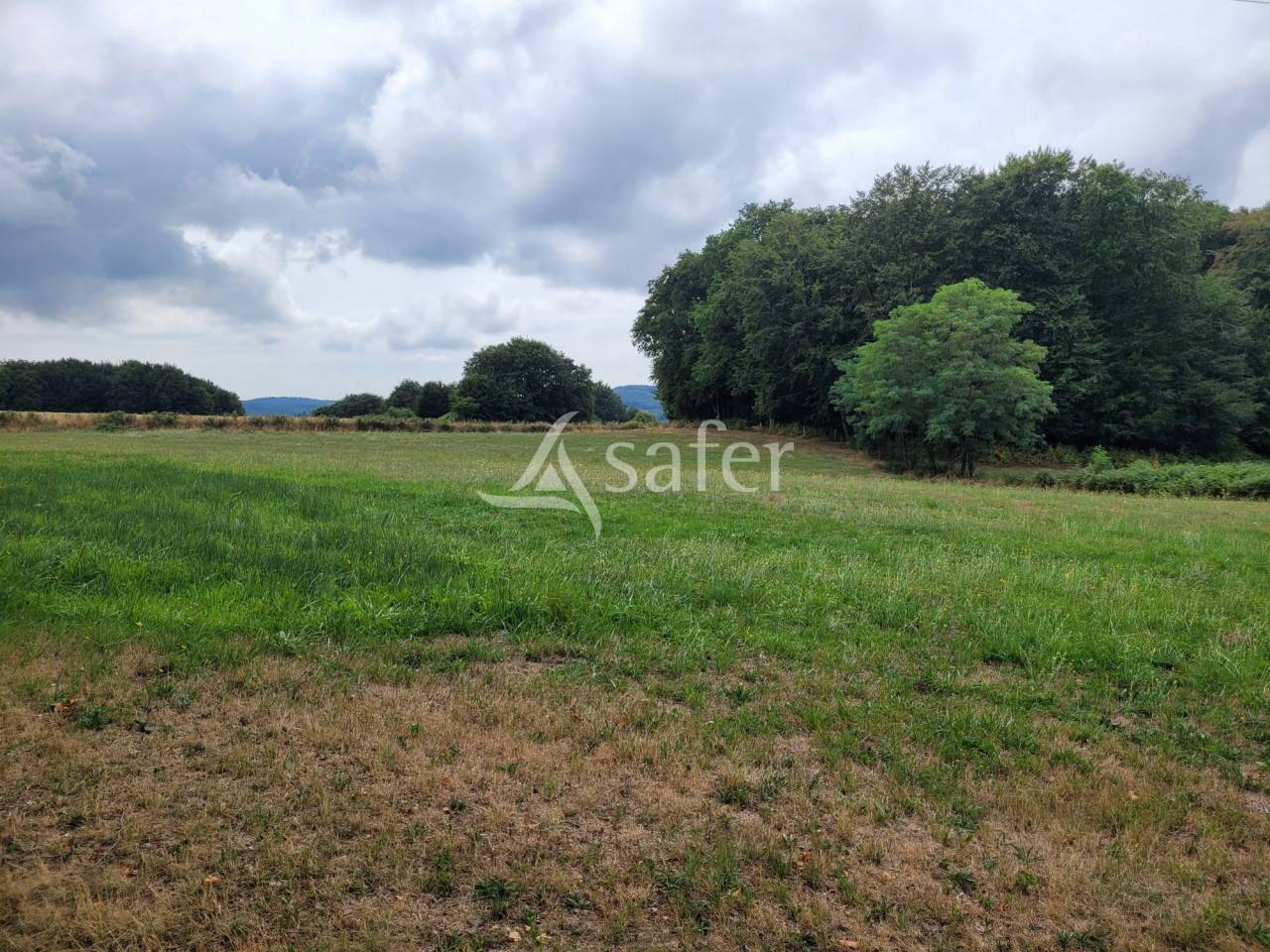 Landbouw bedrijf Koop Cantal