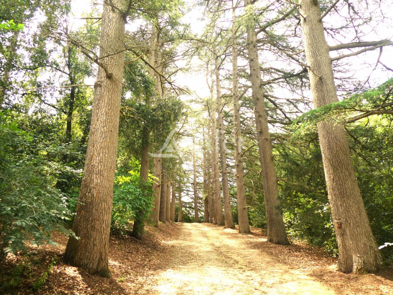 Ander plattelands vastgoed Koop Gers