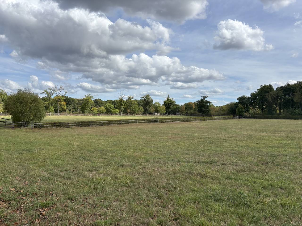 Stoeterij Koop Calvados