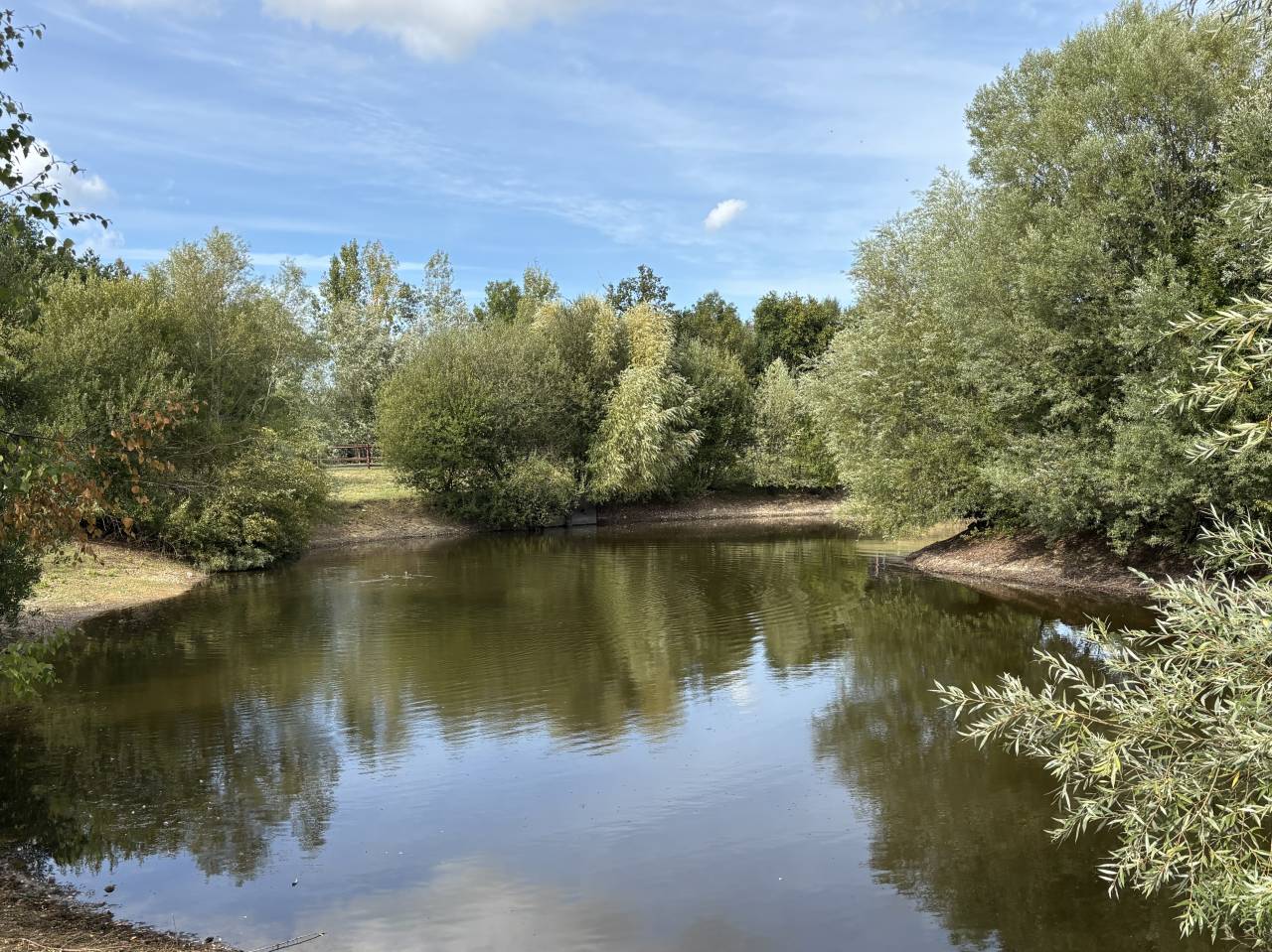 Stoeterij Koop Calvados