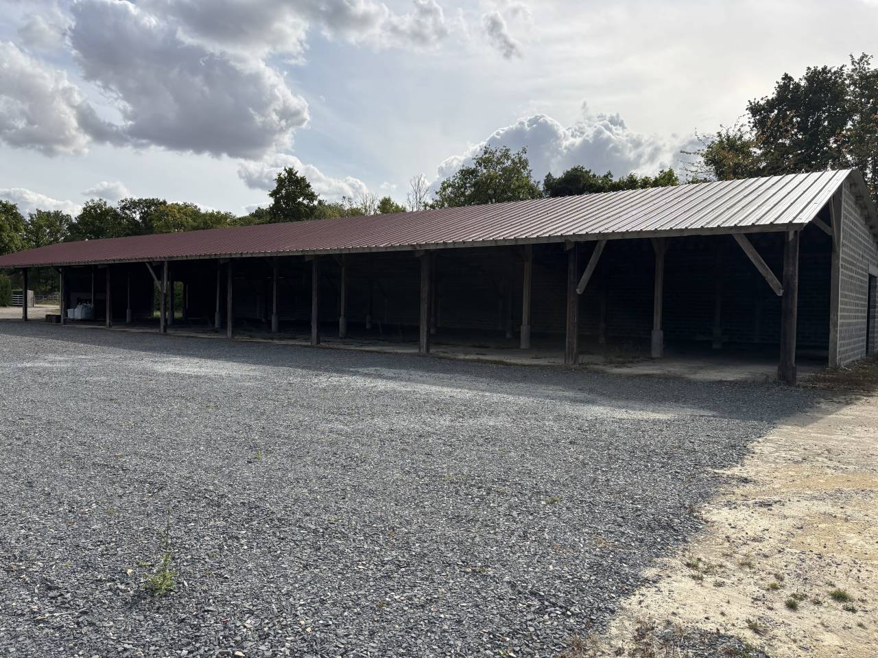 Stoeterij Koop Calvados