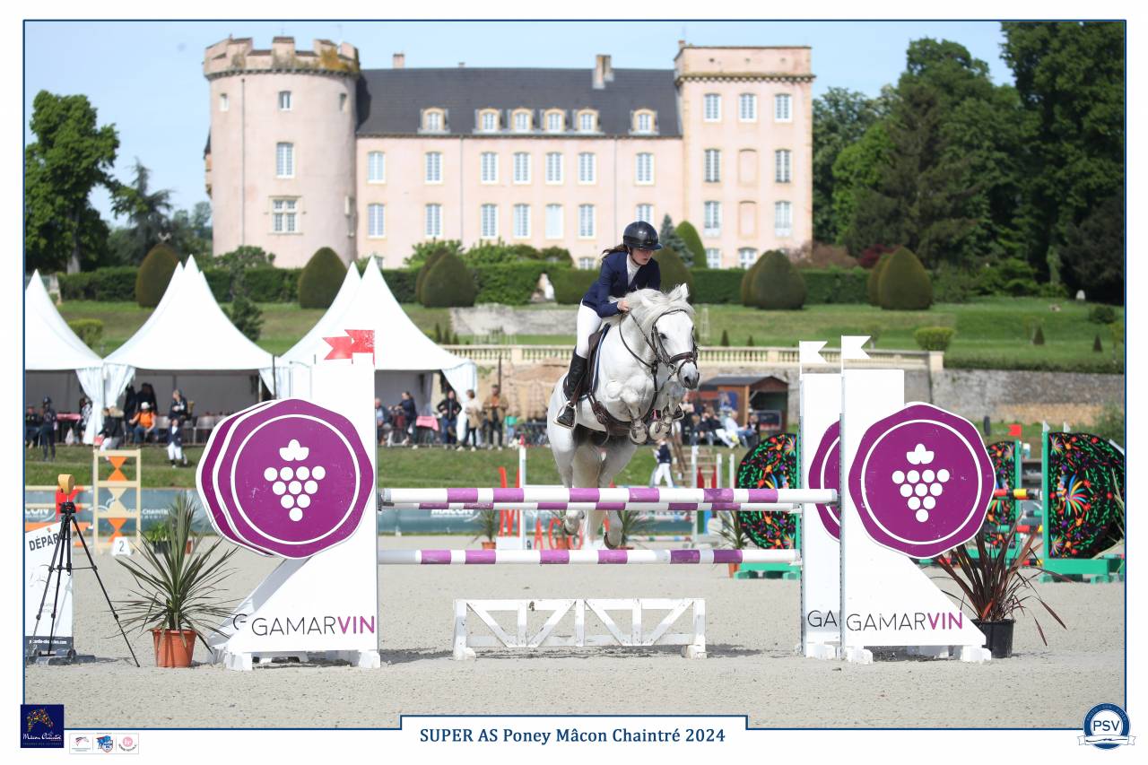 Hengst Connemara Te koop 2017 Schimmel ,  ICE AND FIRE D'ALBRAN