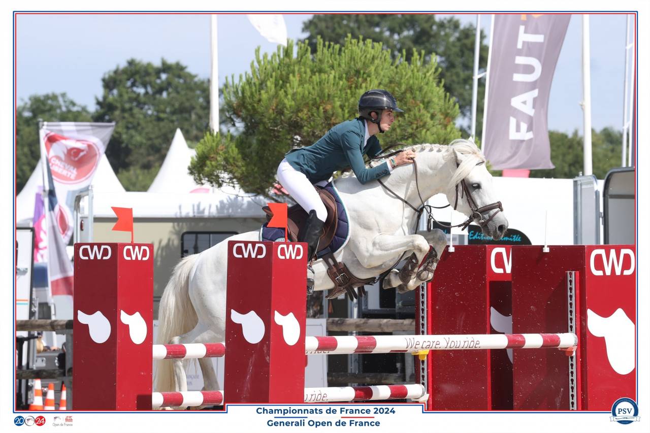 Hengst Connemara Te koop 2017 Schimmel ,  ICE AND FIRE D'ALBRAN