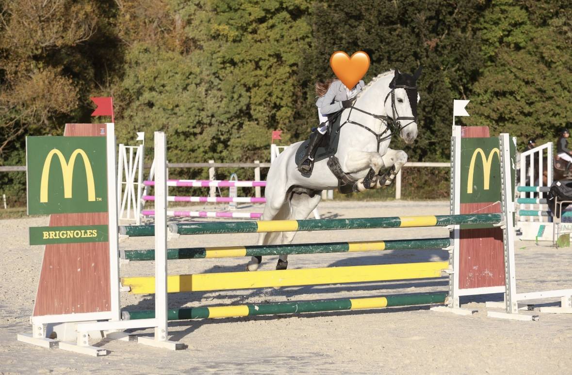 Hengst Connemara Te koop 2017 Schimmel ,  ICE AND FIRE D'ALBRAN