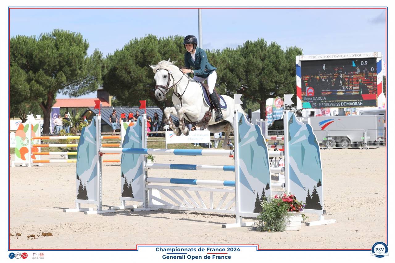 Hengst Connemara Te koop 2017 Schimmel ,  ICE AND FIRE D'ALBRAN