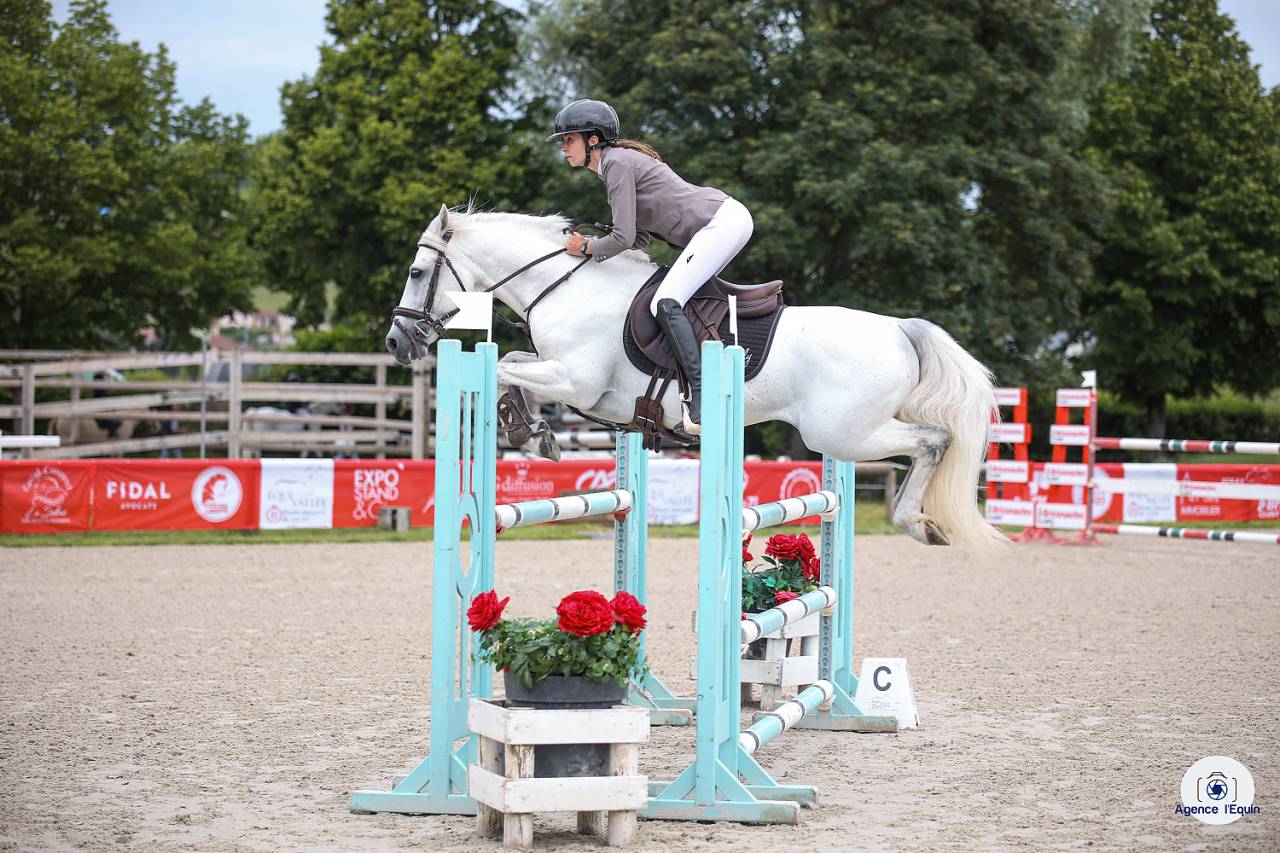 Hengst Connemara Te koop 2017 Schimmel ,  ICE AND FIRE D'ALBRAN