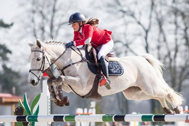 Veulen (ml) Connemara Te koop 2025 Vos