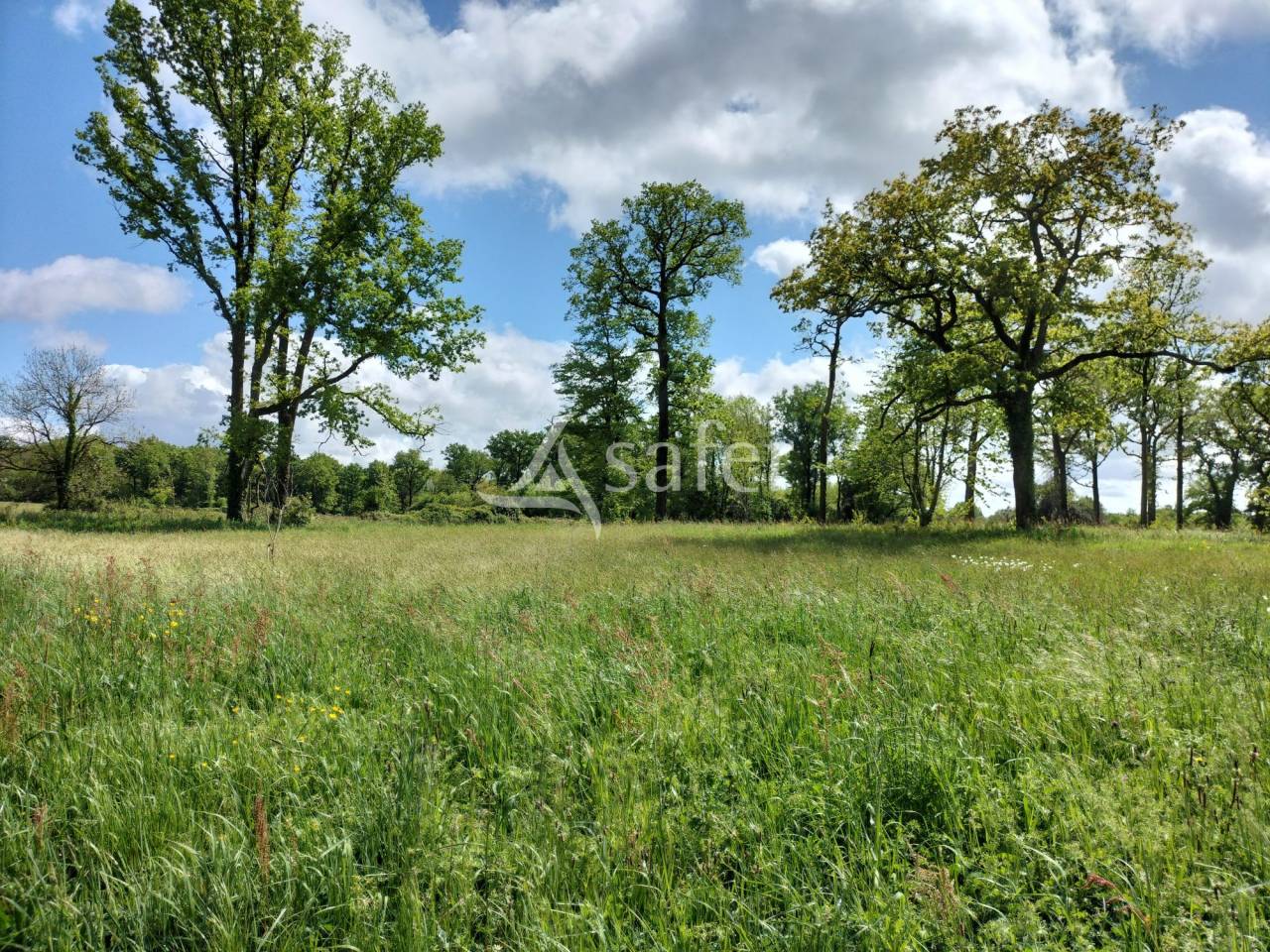Ander plattelands vastgoed Koop Vendée