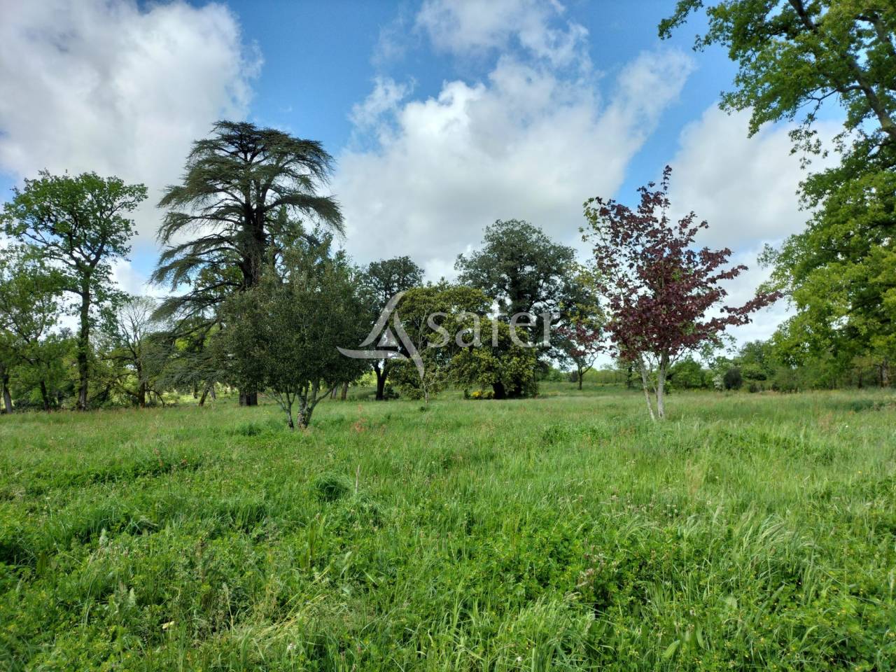 Ander plattelands vastgoed Koop Vendée