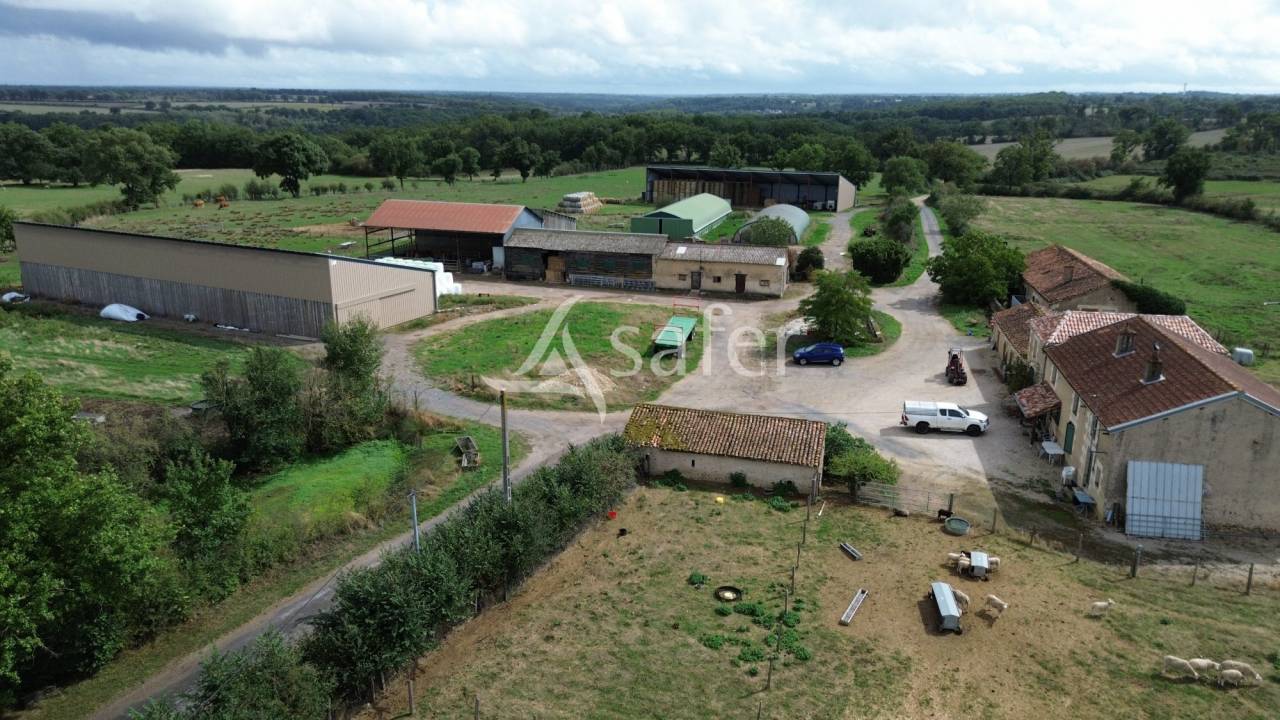 Schapen exploitatie Koop Vienne