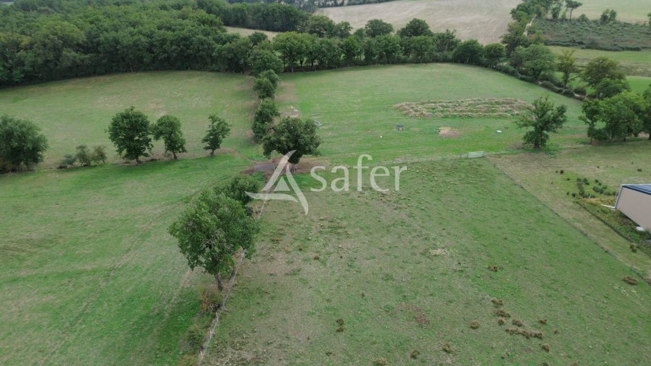 Schapen exploitatie Koop Vienne