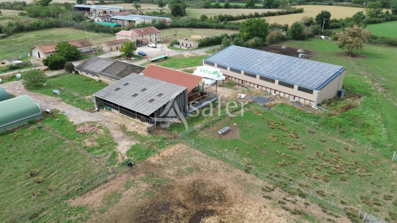 Schapen exploitatie Koop Vienne