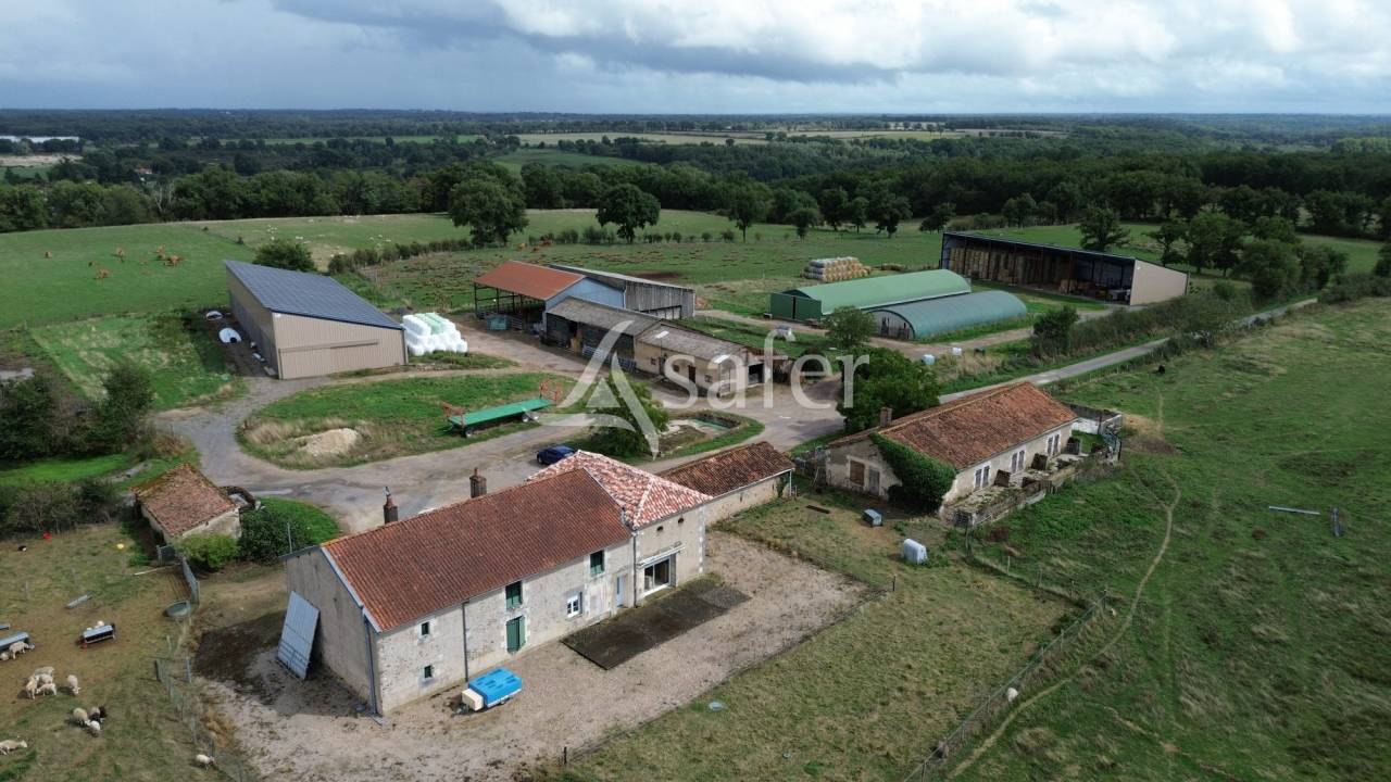 Schapen exploitatie Koop Vienne