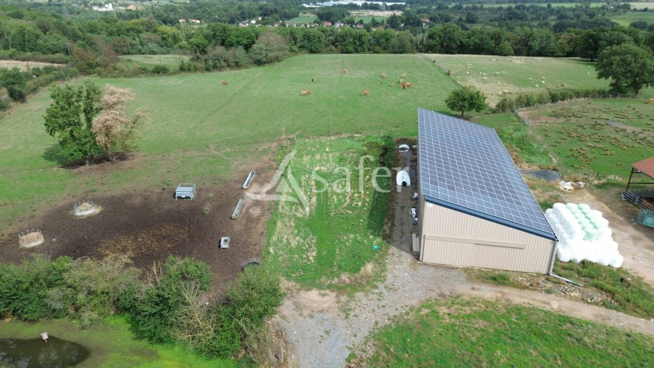 Schapen exploitatie Koop Vienne