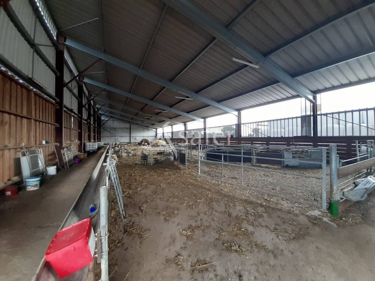 Schapen exploitatie Koop Vienne