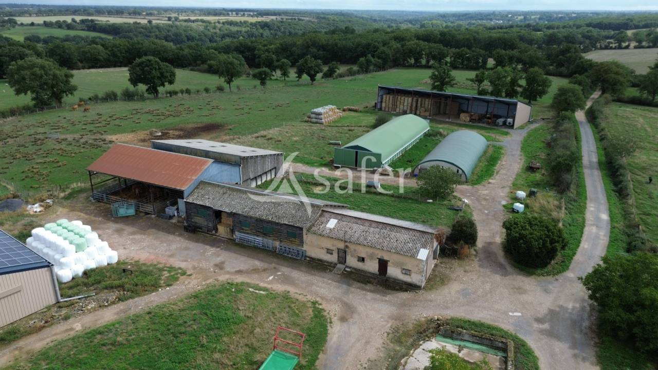 Schapen exploitatie Koop Vienne