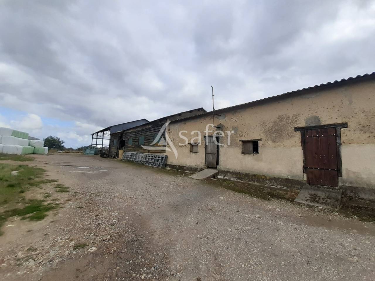 Schapen exploitatie Koop Vienne