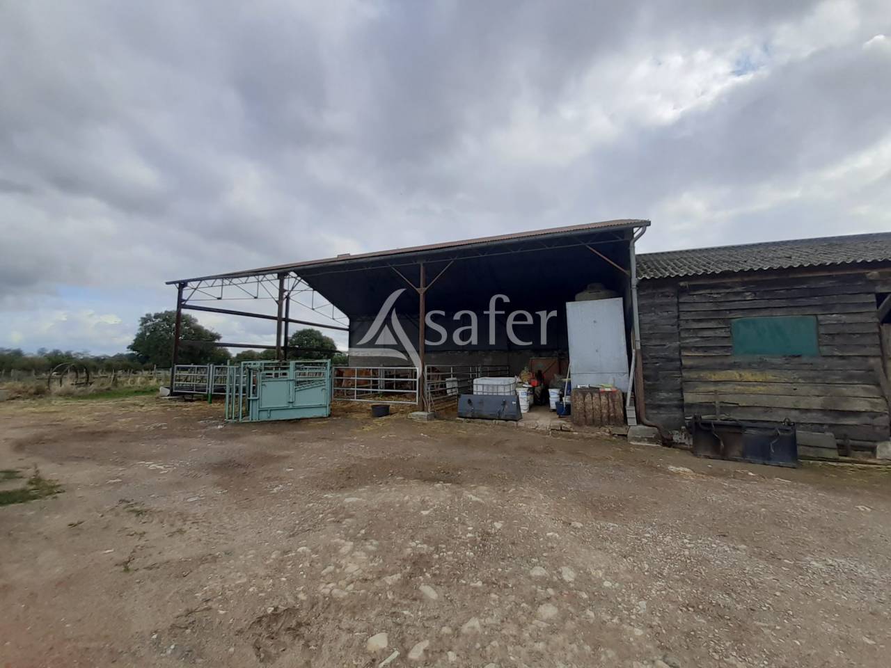 Schapen exploitatie Koop Vienne