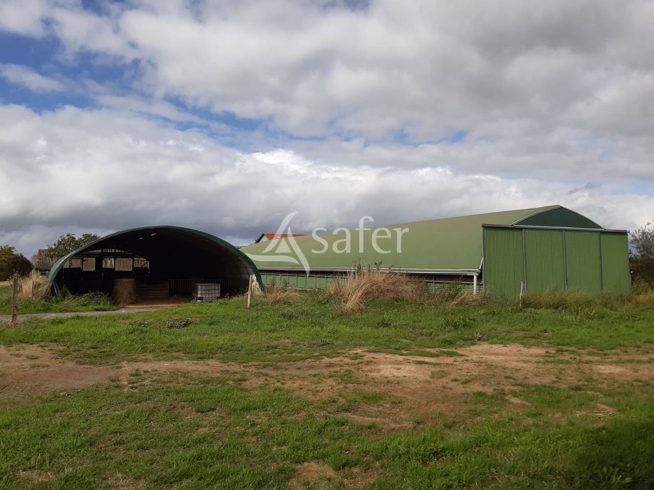 Schapen exploitatie Koop Vienne